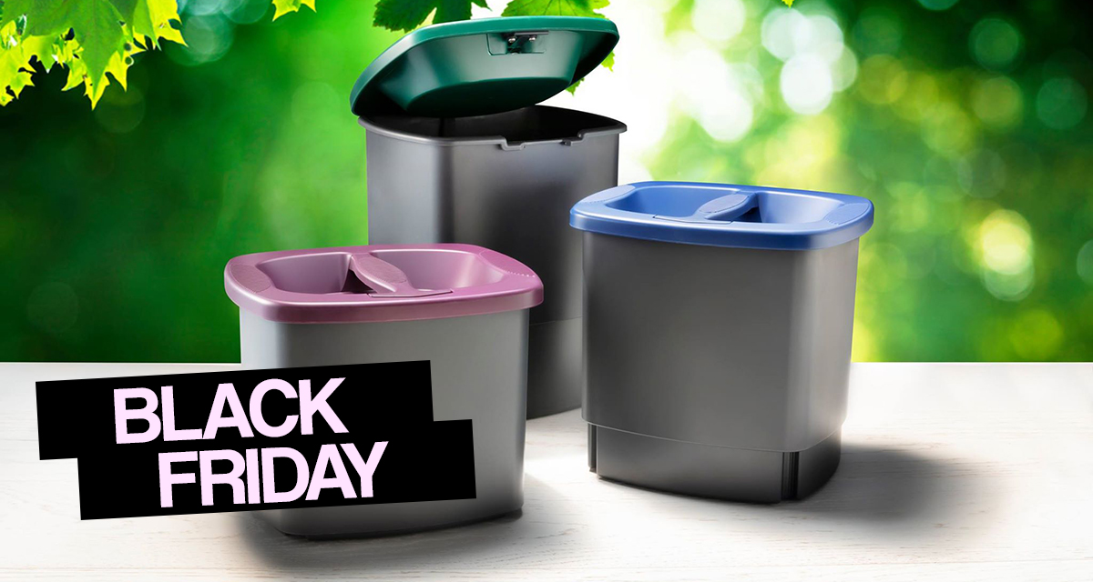 BlackFriday news ingress